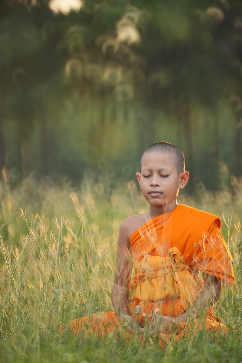 Body-Mind Centering Yoga Image